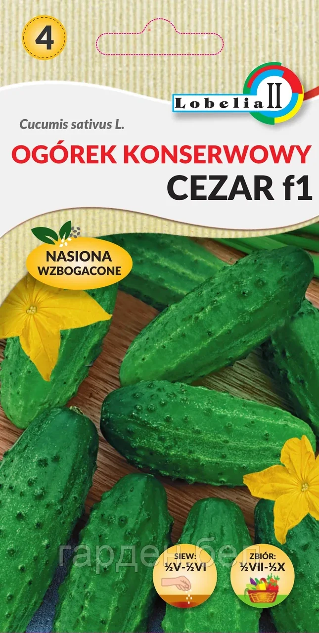 Огурец Цезарь F1 5г Lobelia