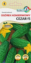 Огурец Цезарь F1 5г Lobelia