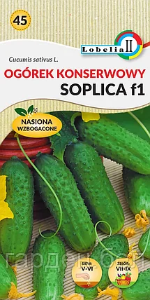 Огурец Соплица F1 2г Lobelia, фото 2