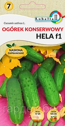 Огурец Хела F1 2г Lobelia, фото 2