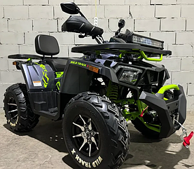 Квадроцикл Motoland 200 Wild Track  X PRO