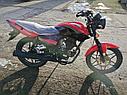 Мотоцикл Racer RC150-23 Tiger, фото 5