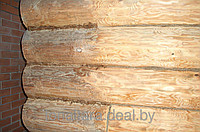 Древотекс-Био экономичный биозащитный антисептик для защиты древесины. - фото 1 - id-p132919