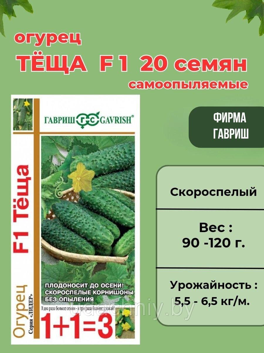 Огурец Теща F1. 20 шт. "Гавриш", Россия.