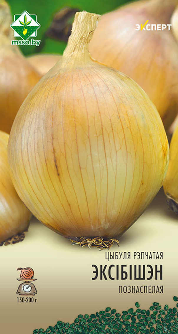 Лук репчатый Эксибишен 75шт Эксперт МССО