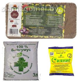 НАБОР №10 ЖИВАЯ ПОЧВА