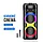 Колонка BT Speaker ZQS-6220 (SZV20W/USB/FM) караоке (черный), фото 5