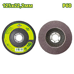 Круг лепестковый 125x22,2 мм P60 DYLLU DTYL2302