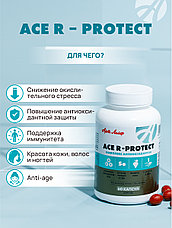 Высокоэффективный антиоксидантный комплекс ACE R-protect, фото 2
