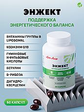 Engect ( Энжект), 60 КАПС., фото 3