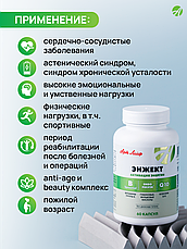 Engect ( Энжект), 60 КАПС., фото 2