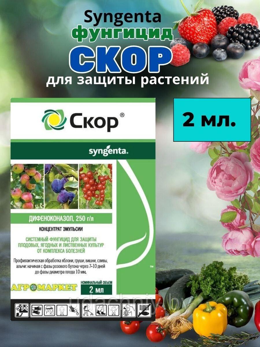 Средство от болезней Скор. 2 мл.