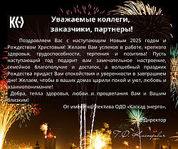 С наступающим Новым 2025 годом и Рождеством Христовым!