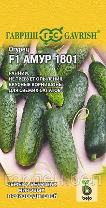Огурец Амур 1801 F1 5 шт Гавриш, фото 2