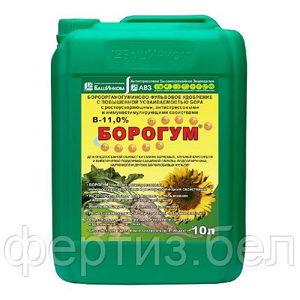 Удобрение Борогум, 10л, фото 2