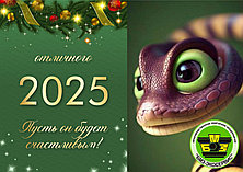 С Новым 2025 годом!!!