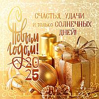 С наступающим Новым 2025 годом!
