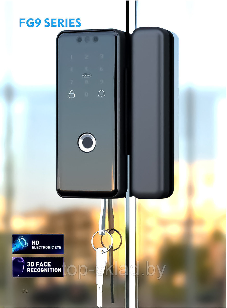 Замок на стеклянную дверь FG 9