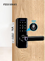 Замок на деревянную входную дверь F233