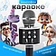 Беспроводной микрофон для караоке - PROFIT WS-858, bluetooth, USB, MicroSD, AUX, изменение голоса, черный, фото 2