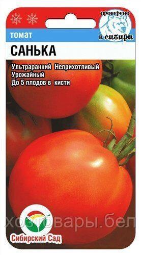 Томат Санька 20шт Дет Ранн (Сиб сад)