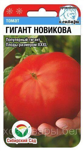 Томат Гигант Новикова 20шт Индет Ср (Сиб сад) XXXL