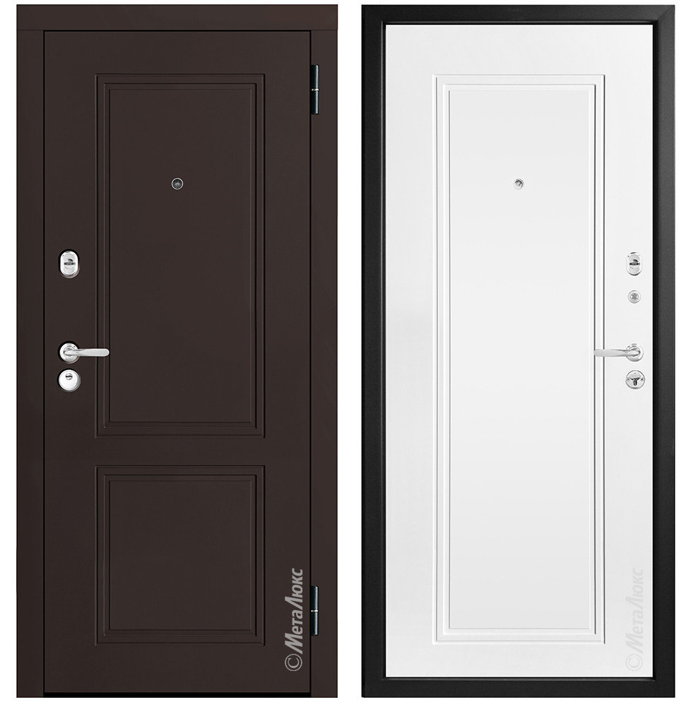 Двери металлические металюкс М448/1 Е5