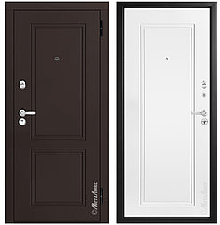 Двери металлические металюкс М448/1 Е5