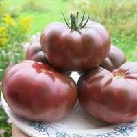 Томат Шоколадница (10 шт)