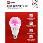 Лампа светодиодная ФИТО A60 15W Е27 N HOME LED-A60-FITO