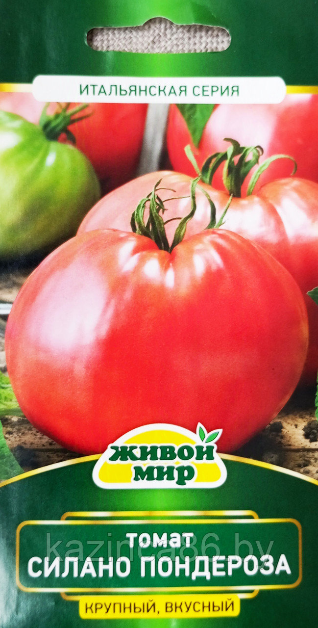Томат Силано Пондероза