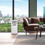 Мобильный кондиционер Electrolux Manhattan EACM-14 FM/N3, фото 4