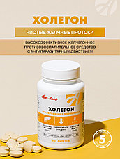 Холегон, фото 3