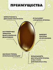 Олеопрен Гепа 60 капсул, фото 2