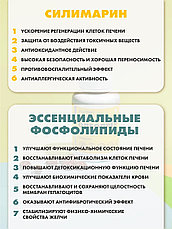 Олеопрен Гепа 60 капсул, фото 3