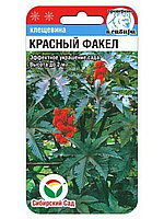 Клещевина Красный факел СИБ 5шт