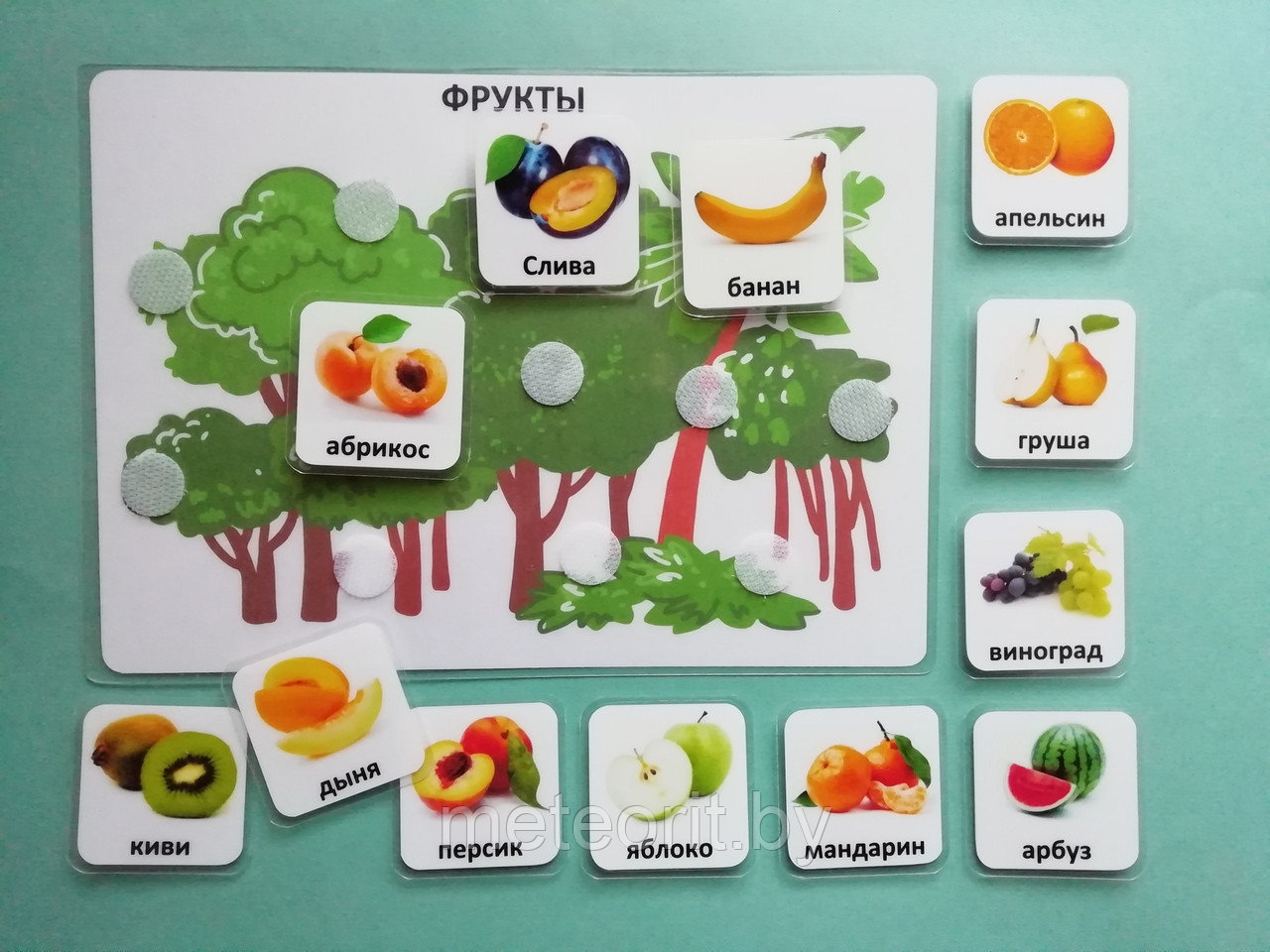 Пособие ПЕКС/PECS Овощи и фрукты