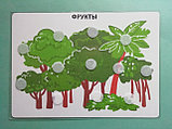 Пособие ПЕКС/PECS Овощи и фрукты, фото 3