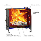 Печь отопительная Везувий "Комфорт 300" (ДТ-3С), фото 2