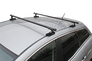 Универсальный багажник Муравей Д-Т для Citroen Evasion (с Т-профилем)