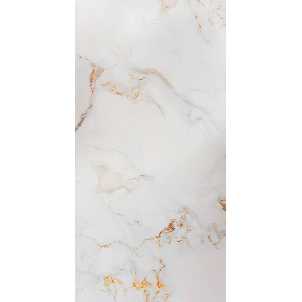 ELEGANT 60*120