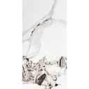 DORIAN 60*120, фото 7
