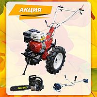 Мотоблок Shtenli 1030 Lite 3+1 ПЕРЕДАЧИ! (8,5 л.с.) с пониженной передачей! Бензопила или триммер в подарок!!!