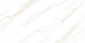 Marble OnlyGres MOG102 60*120
