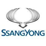 SSANGYONG Дефлекторы хром молдинг