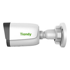 Tiandy TC-C34WS I5W/E/Y/2.8/V4.2 IP камера