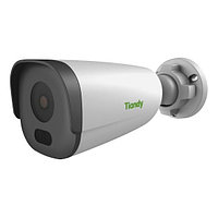 Tiandy TC-C32GS I5/E/Y/C/SD/2.8/V4.2 IP камера