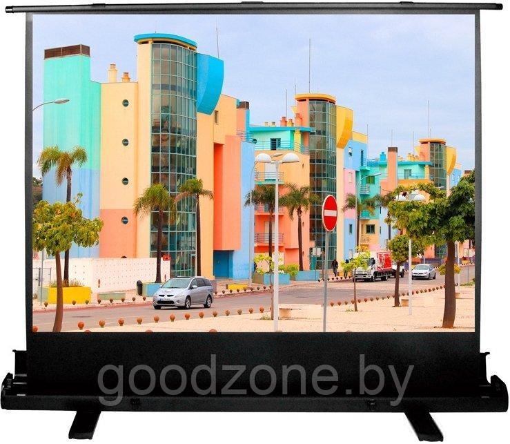 Проекционный экран CACTUS FloorExpert 120x160 CS-PSFLE-160х120