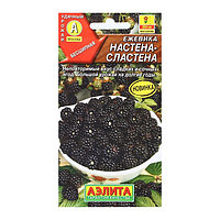 Ежевика Настена-сластена 15шт Аэлита