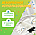 Детские ходунки NINO Easy Go (Beige), фото 7